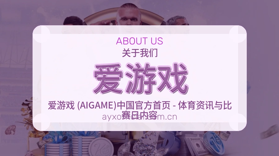 爱游戏 关于我们图片